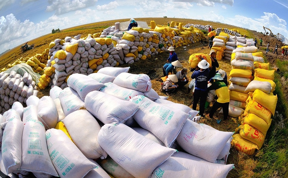 Nhập khẩu thêm 1,5 triệu tấn gạo, Indonesia xác nhận chọn nguồn cung từ Việt Nam